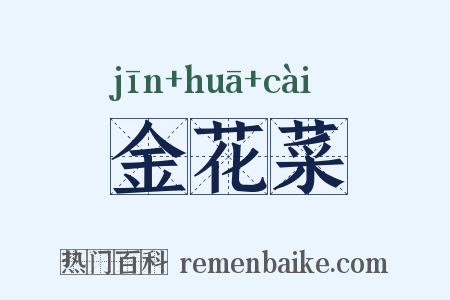 金花菜是什么意思的图片